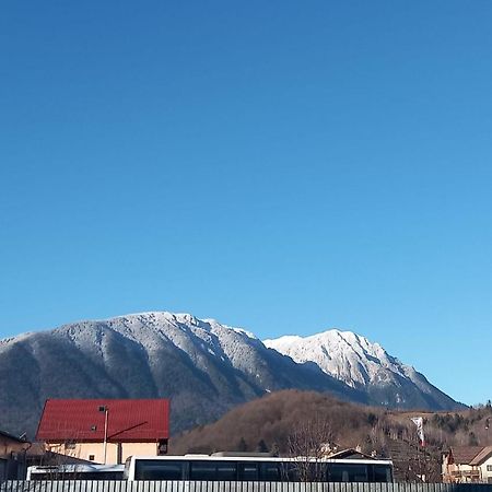 Piatra Craiului Residence Zarnesti Exterior photo